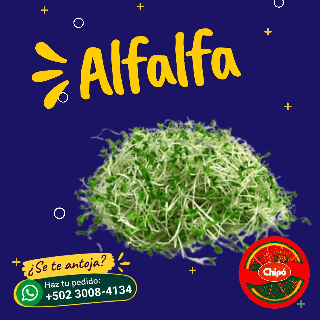 Alfalfa