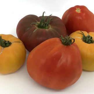tomate heirloom unidad