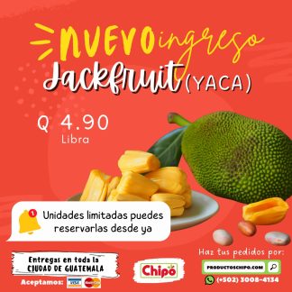 yaca jackfruit productos chipo guatemala fruta verdura y mas a domicilio