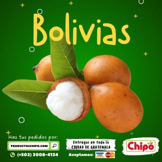 Bolivias