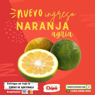 naranja agria productos chipo guatemala fruta verdura y mas a domicilio