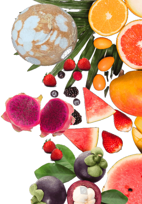 productos chipoguatemala fruta exotica temporada y mas a domicilio