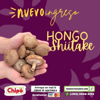 hongo shiitake productos chipo guatemala fruta verdura y mas a domicilio