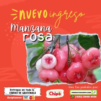 manzana rosa productos chipo guatemala fruta verdura y mas a domicilio