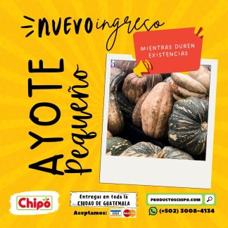 ayote pequeno productos chipo fruta verdura y mas a domicilio guatemala