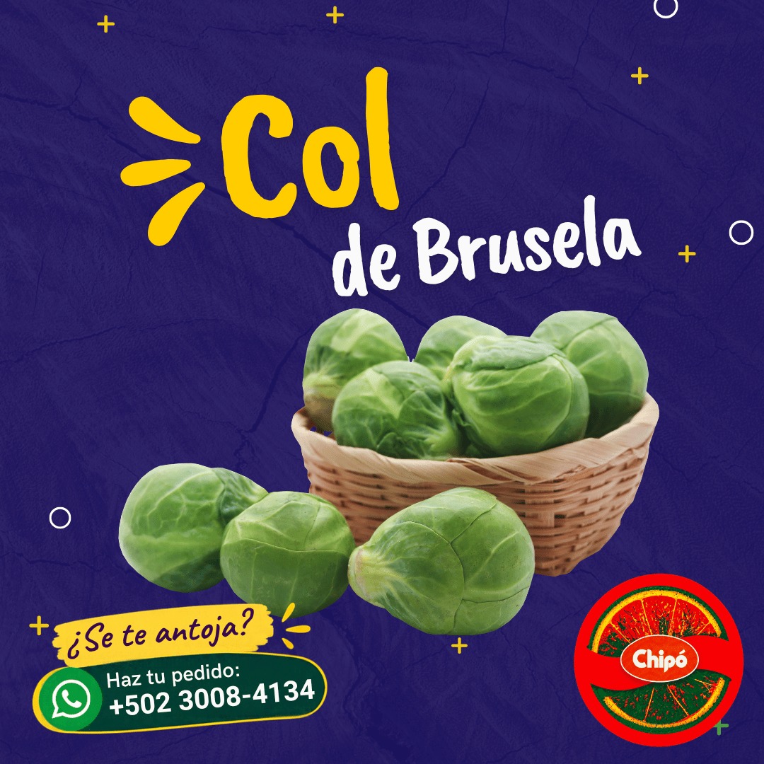 Bruselas