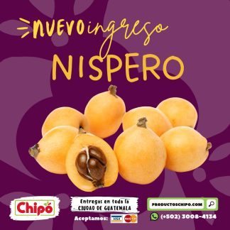 Nisperos productos Chipo Guatemala fruta verdura y mas a domicilio