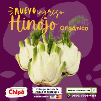 hinojo organico productos chipo guatmala fruta verdura y mas a domicilio
