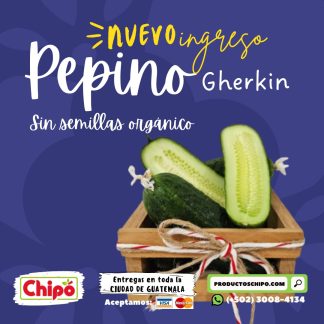 pepino gherkin organico sin semillas productos chipo guateemala fruta verdura y mas a domicilio