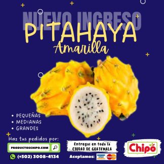 pitaya amarilla productos chipo guatemala frutas verduras y mas a domicilio