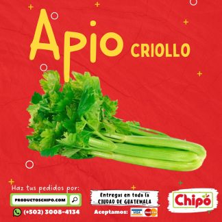 apio criollo productos chipo guatemala fruta verdura y mas a domicilio