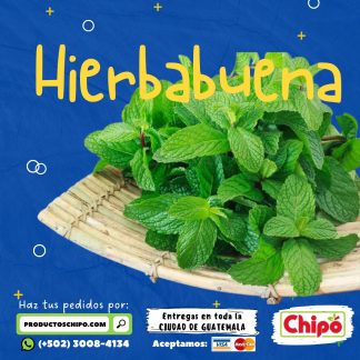 Hierbabuena Productos Chipo fruta verdura y mas a domicilio guatemala