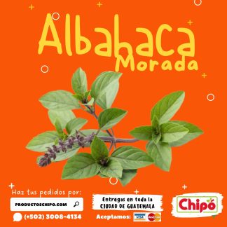 albahaca morada productos chipo guatemala fruta verdura y mas a domicilio