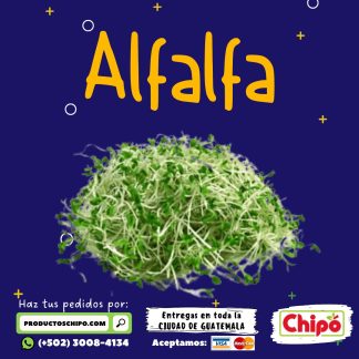 alfalfa productos chipo guatemala fruta verdura y mas a domicilio