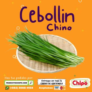 cebollin chino productos chipo guatemala fruta verdura y mas a domicilio