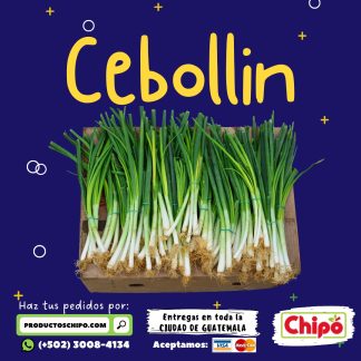 cebollin productos chipo guatemala fruta verdura y mas a domicilio