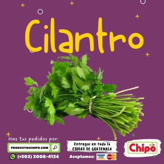 cilantro productos chipo guatemala fruta verdura y mas a domicilio