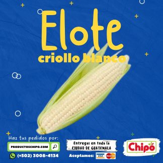 elote criollo blanco productos chipo guatemala fruta verdura y mas a domicilio