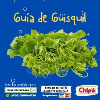 puntas de guisquil Productos Chipo fruta verdura y mas a domicilio guatemala