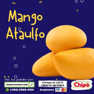 ataulfo 2026 productos chipo fruta y verdura a domicilio guatemala