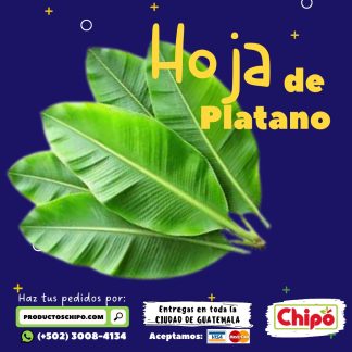 hoja de platano frutas y verduras chipo a domicilio guatemala
