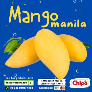 manila 2026 productos chipo fruta y verdura a domicilio guatemala