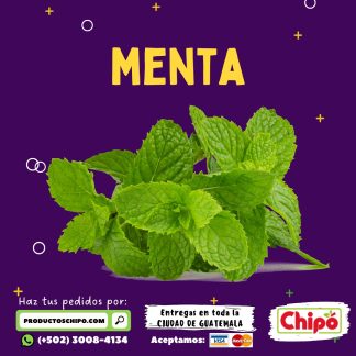 menta productos chipo fruta verdura y mas a domicilio guatemala