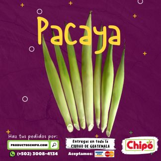 pacaya productos chipo fruta verdura y mas a domicilio guatemala