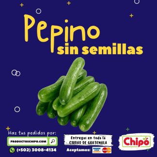 pepino sin semillas productos chipo fruta verdura y mas a domicilio guatemala