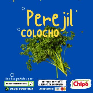 perejil colocho productos chipo fruta verdura y mas a domicilio guatemala