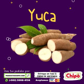 yuca productos chipo guatemala fruta verdura y mas a domicilio