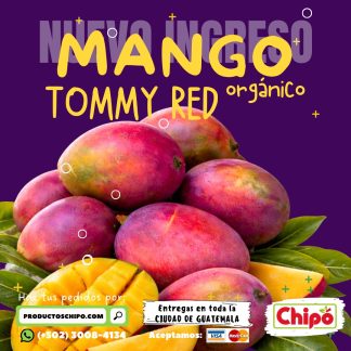 mango tommy red organico productos chipo guatemala fruta verdura y mas a domicilio