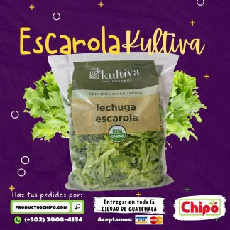 lechuga escarola kultiva guatemala fruta verdura y mas a domicilio