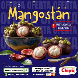 mangostan oferta mientras duran existencias productos chipo guatemala fruta verdura y mas a domicilio guatemala