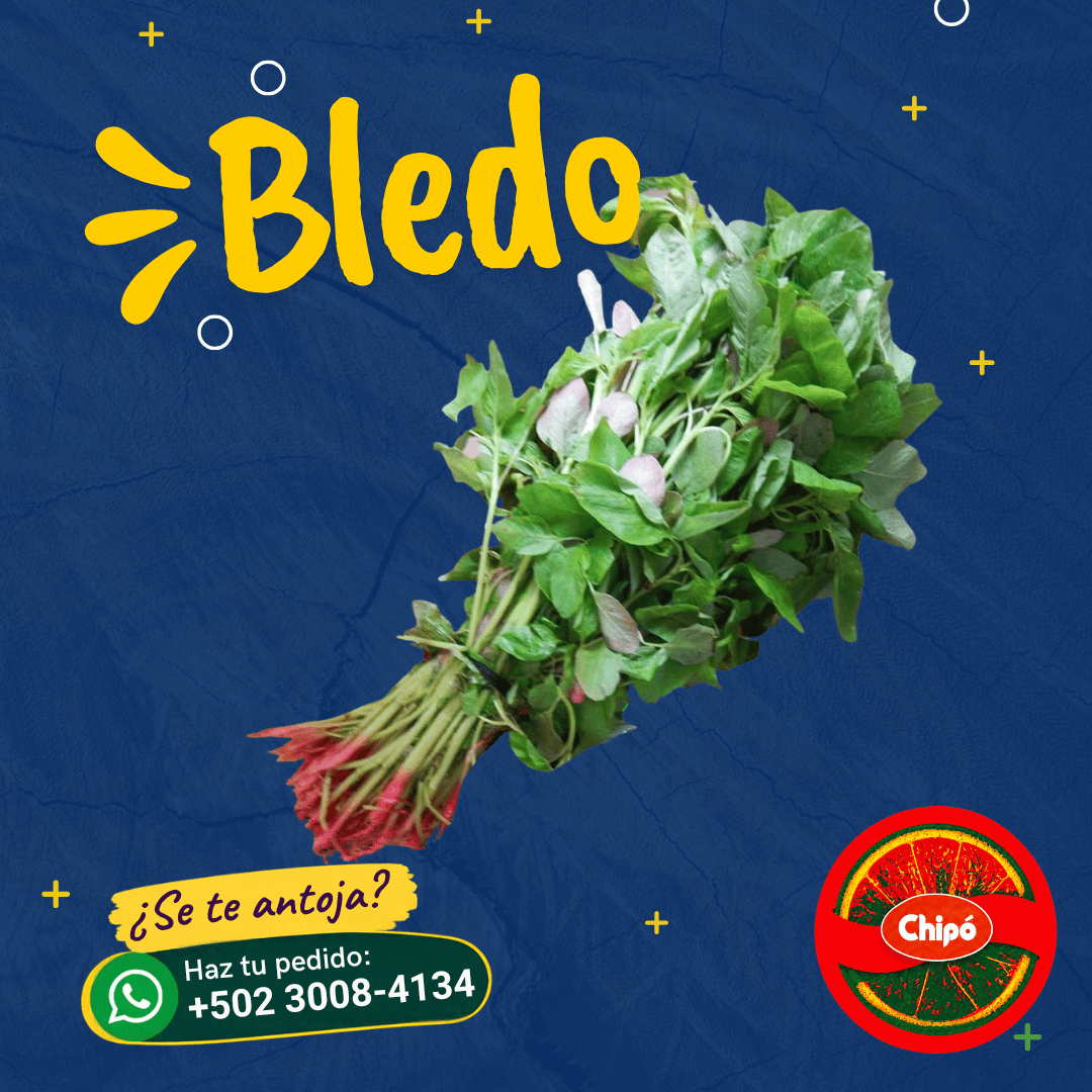 Bledo