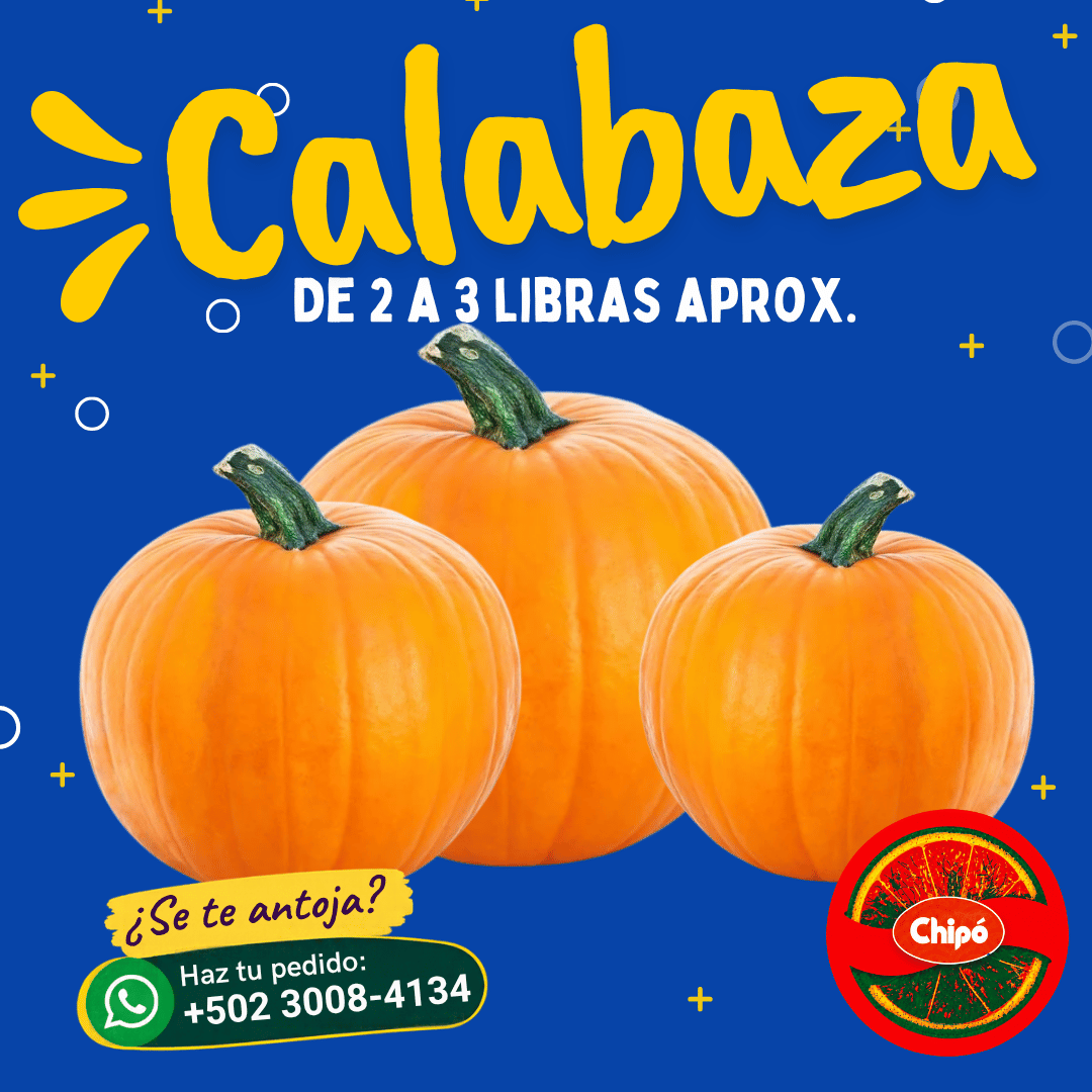 Calabaza 2 a 3 lbs