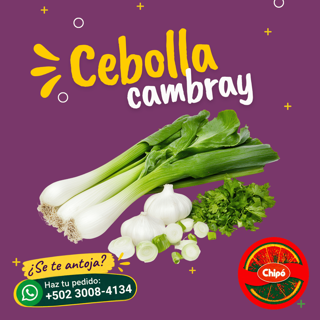 Cebolla Cambray
