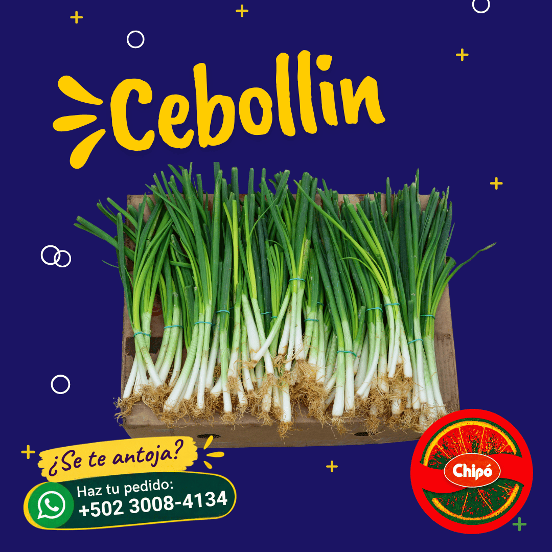 Cebollin
