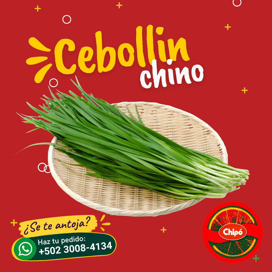 Cebollin Chino