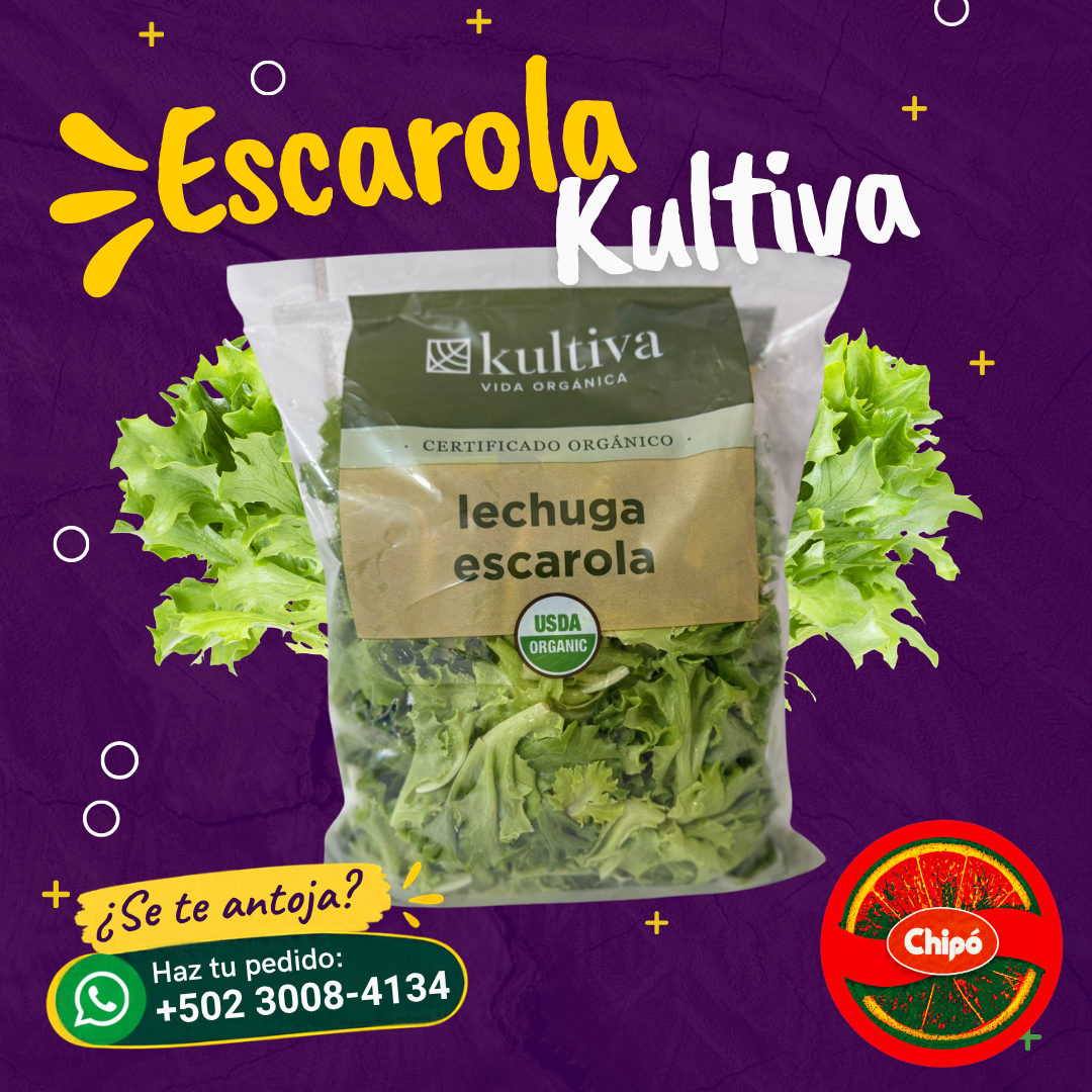 Lechuga Escarola Kultiva