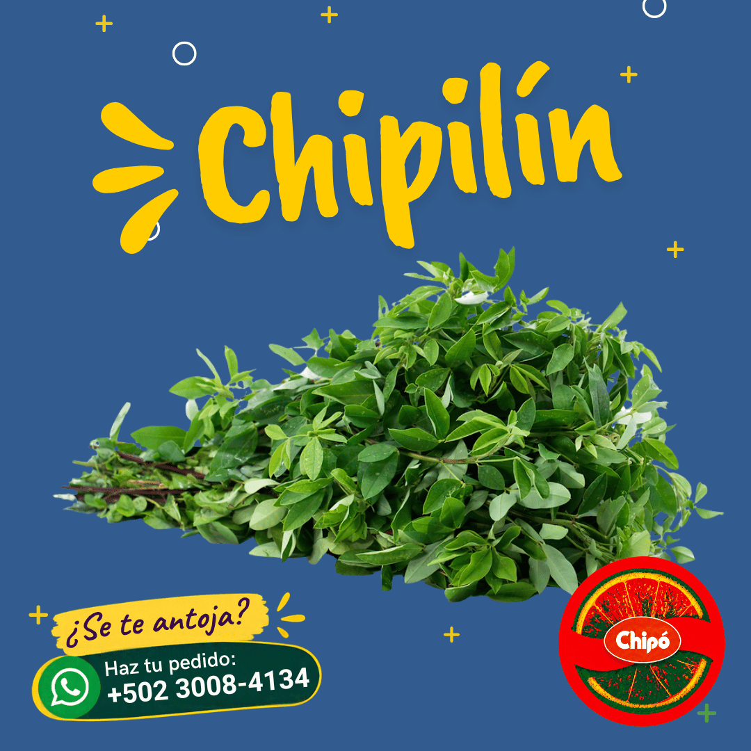 Chipilin