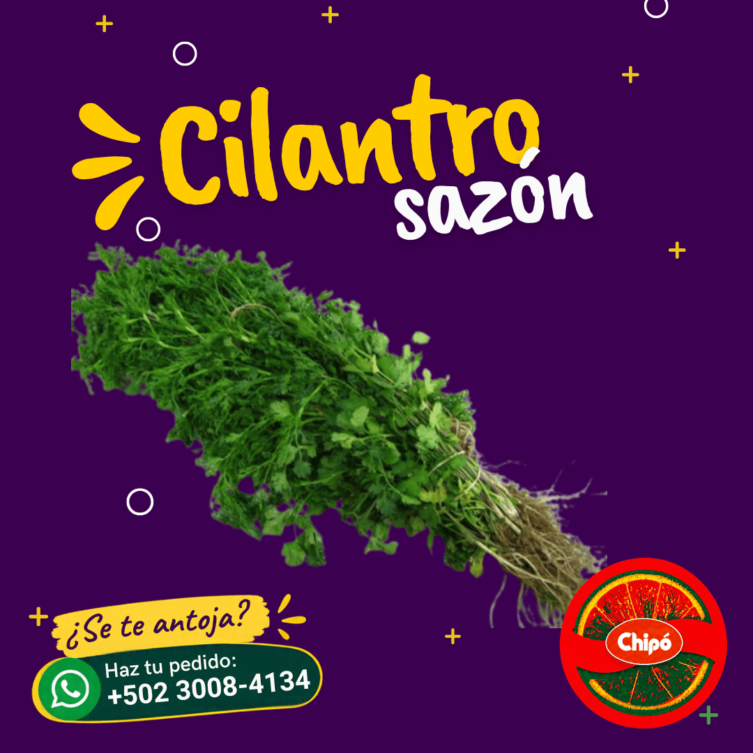 Cilantro Sazón