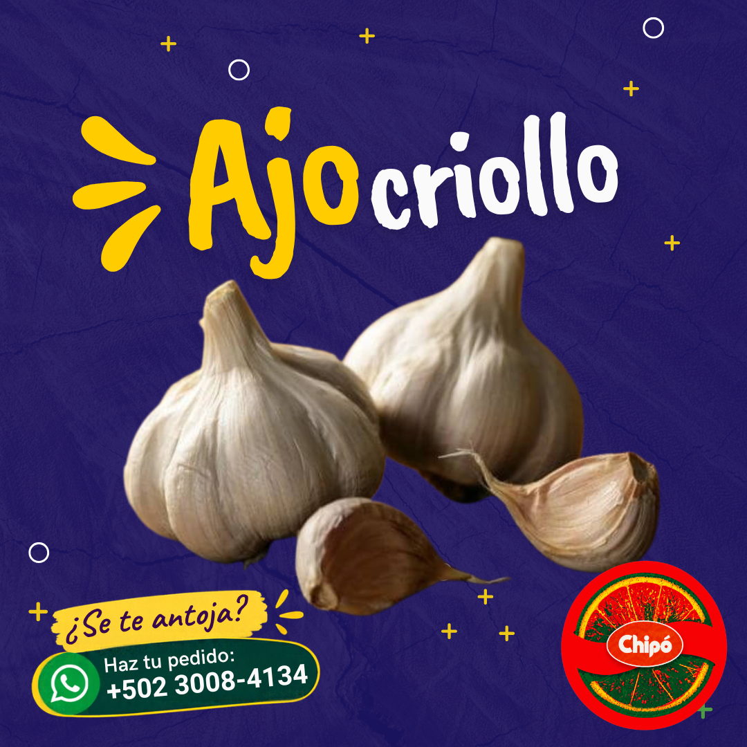 Ajo Criollo