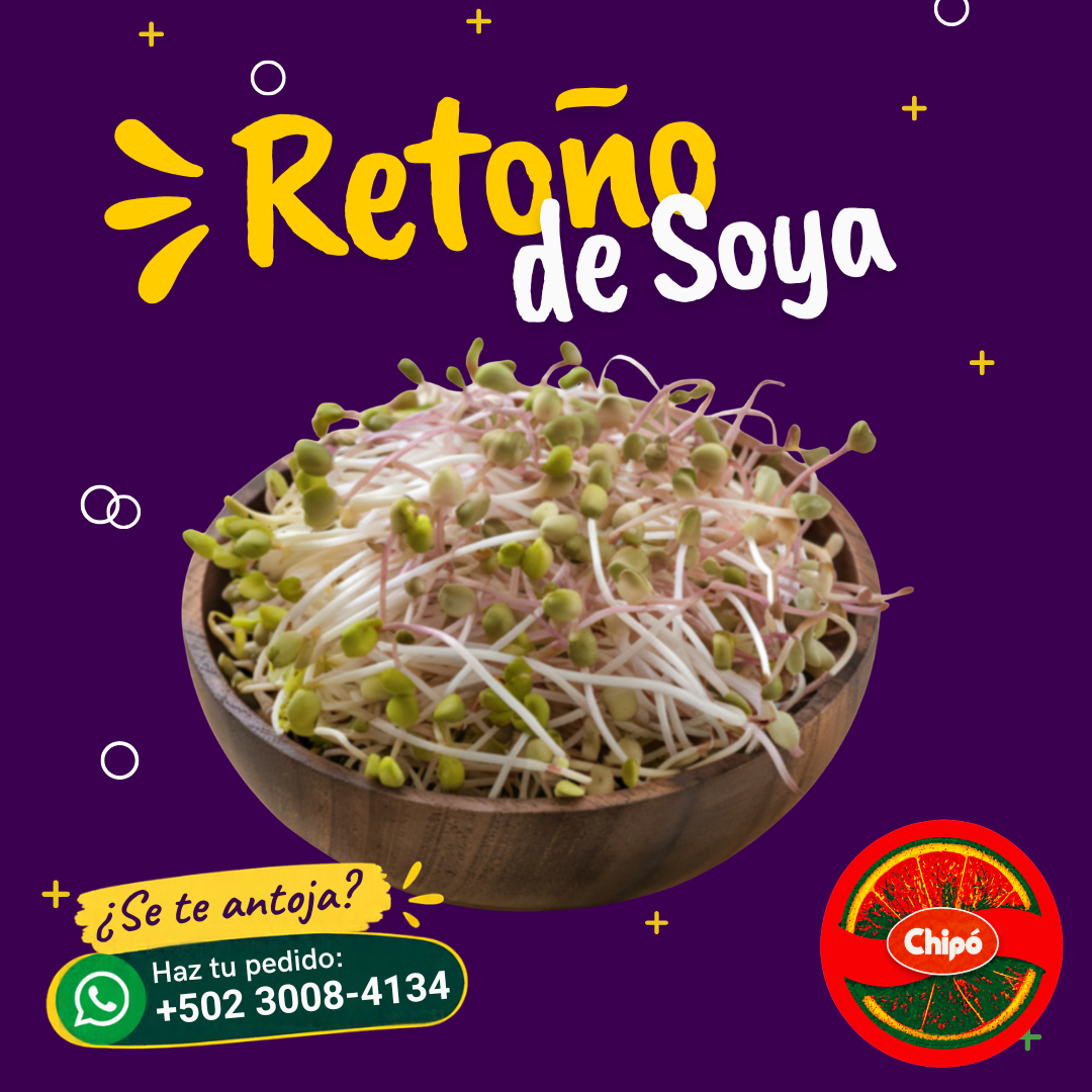 Retoño de Soya
