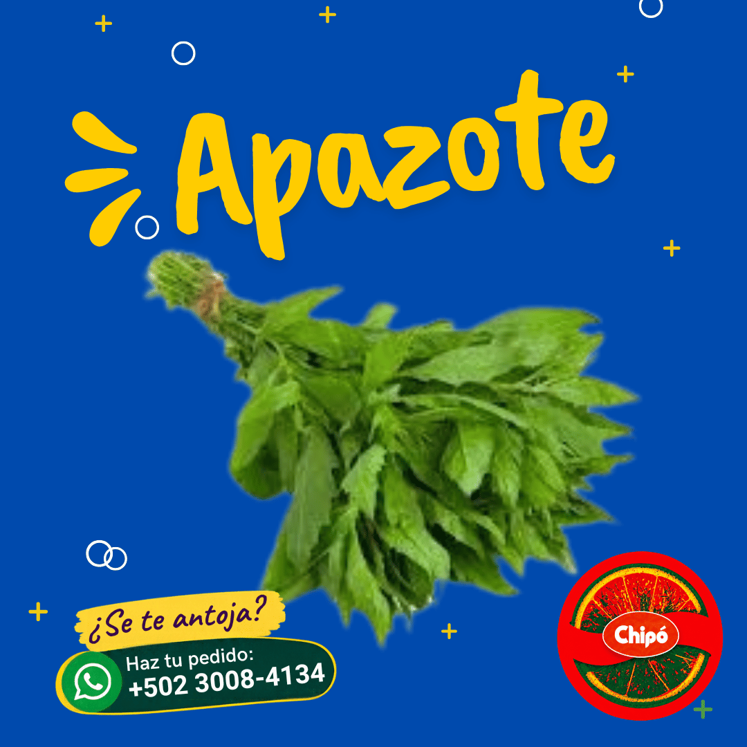 Apazote