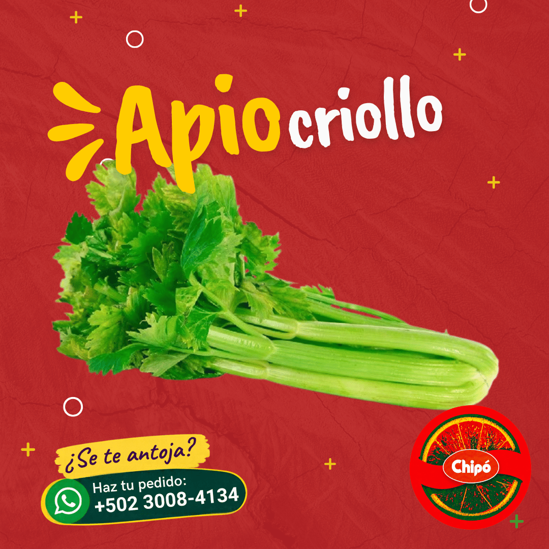Apio Criollo