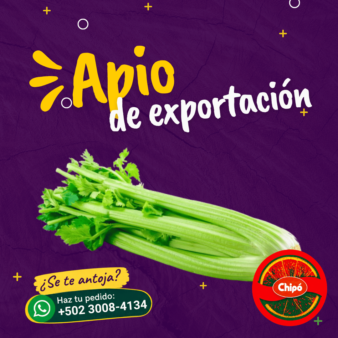 Apio Exportación