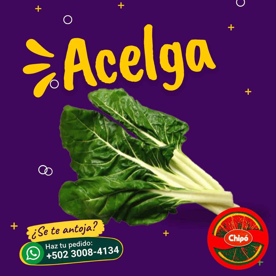 Acelga