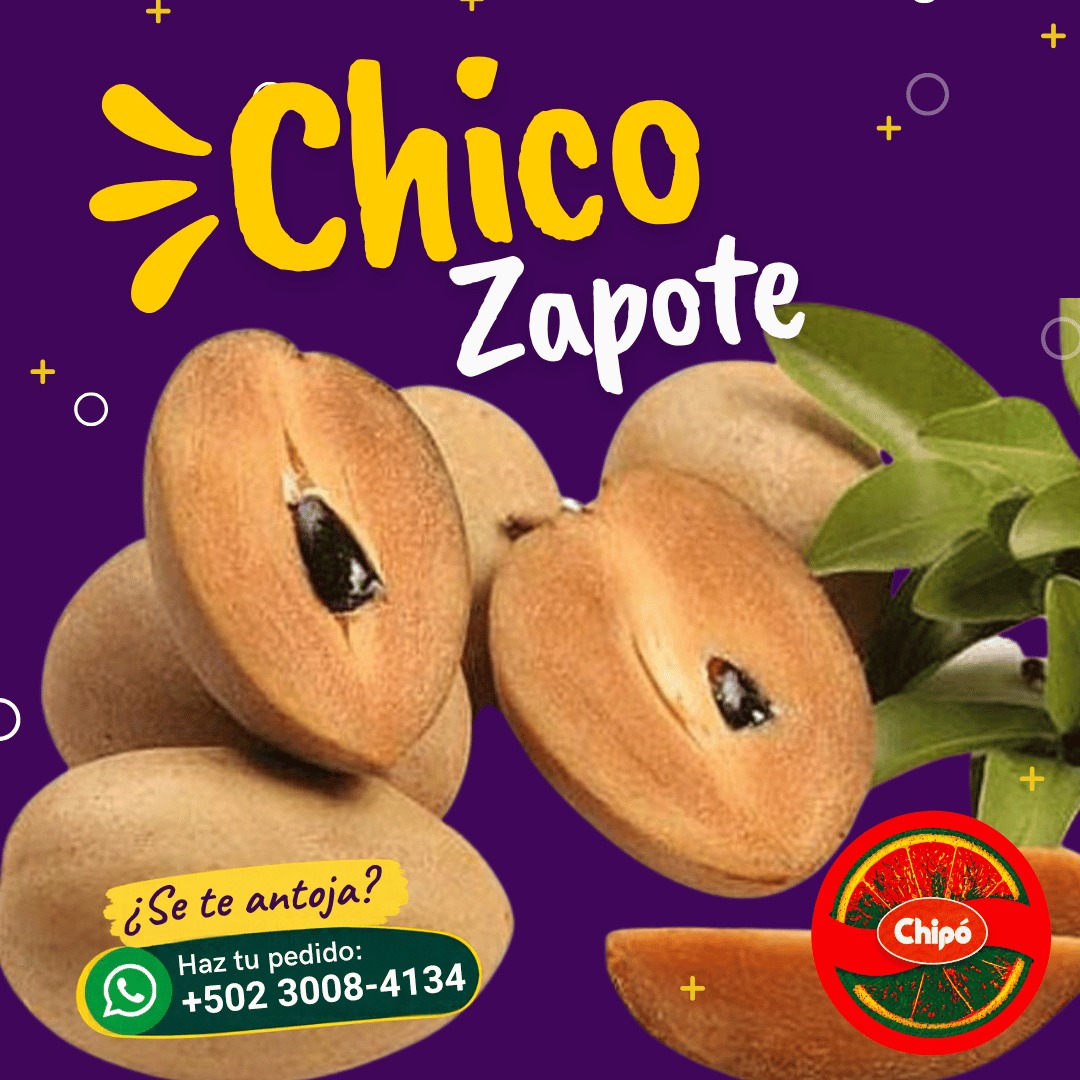 Chico Zapote