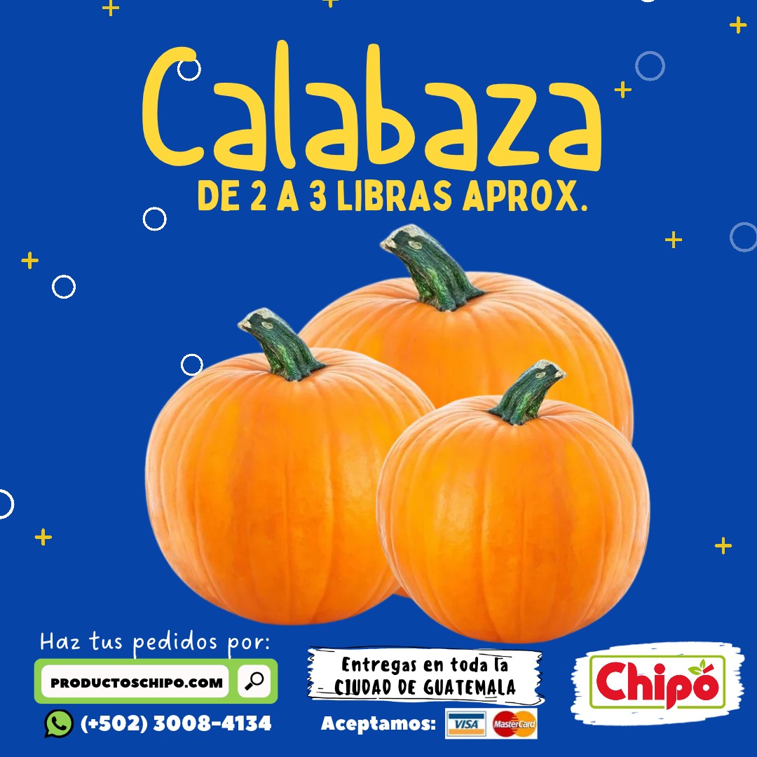 Calabaza 2 a 3 lbs